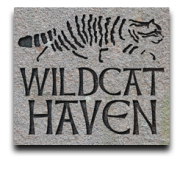 Wildcat Haven website